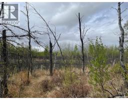 5.5km South Of Dorintosh Lot 2, Meadow Lake Rm No 588, SK S0M0T0 Photo 9
