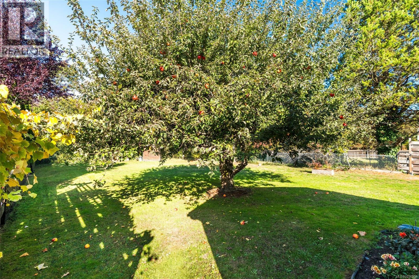  2926 Colquitz Avenue, Saanich