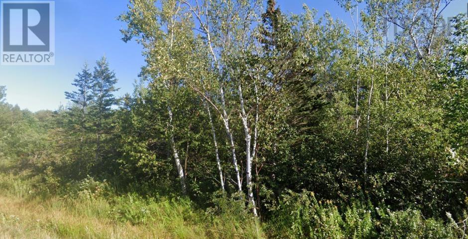 Property 3 of 3 of Lot Shore Road W