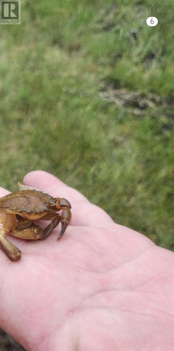 Property 14 of 36 of 216 Hartz Point Road