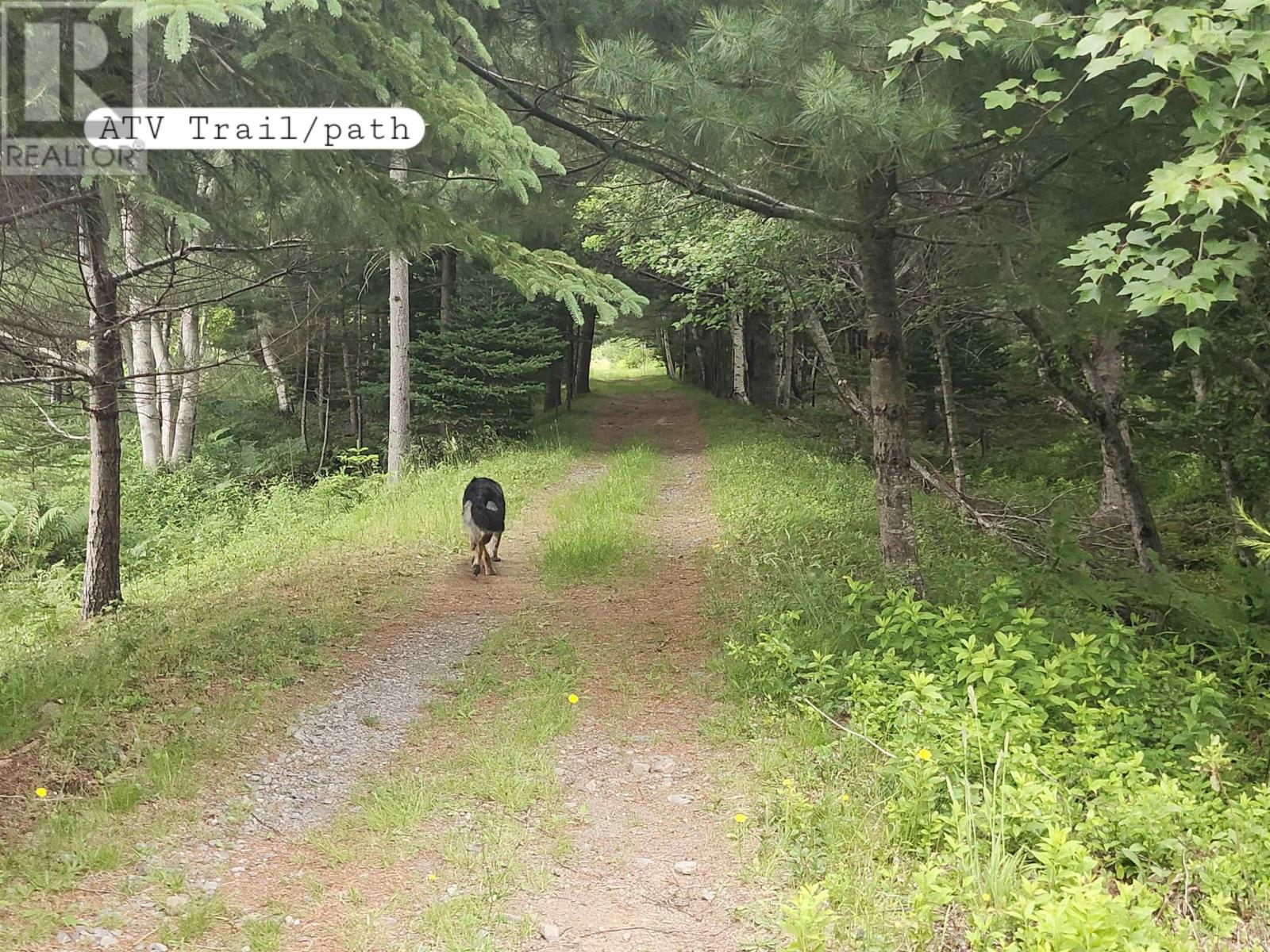 Property 22 of 36 of 216 Hartz Point Road