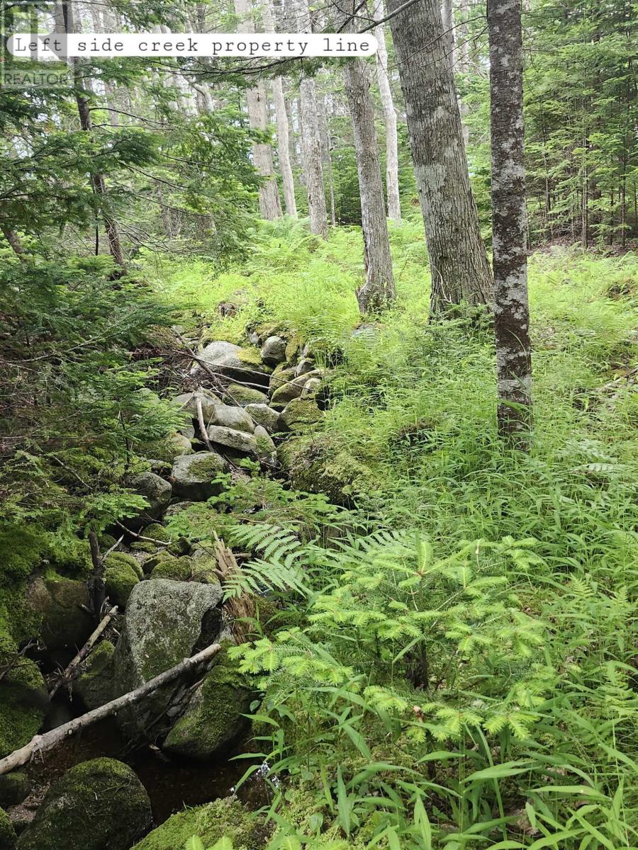 Property 28 of 36 of 216 Hartz Point Road