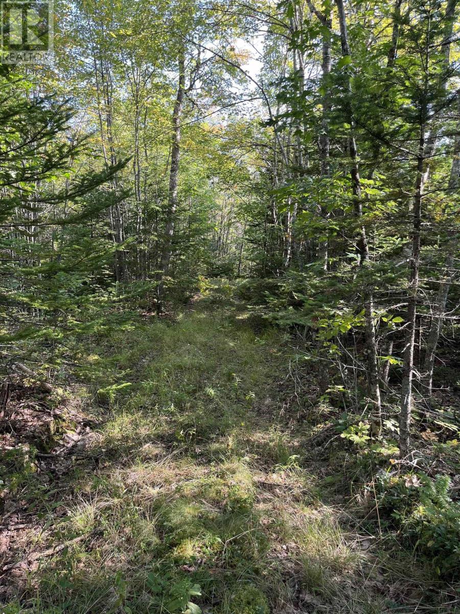 LOT Highway 10, Dalhousie, Nova Scotia