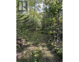 Lot Highway 10, Dalhousie, NS B0R1H0 Photo 8
