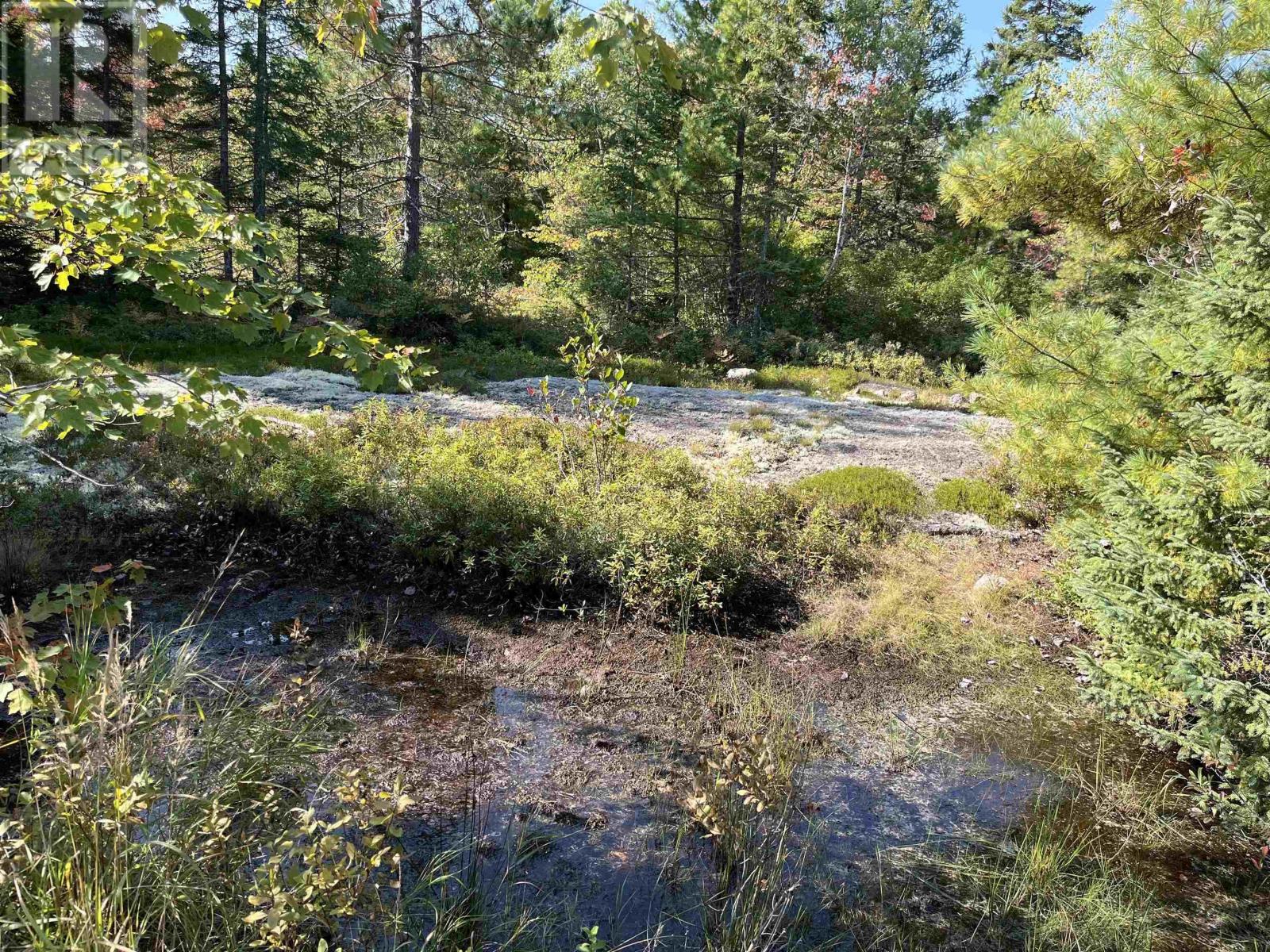 Vacant Land for Sale in LOT Highway  Dalhousie 