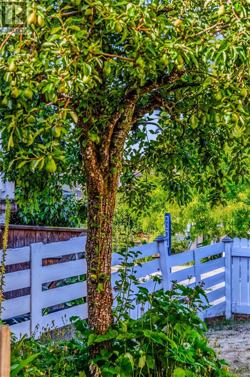 377 Milton St, Nanaimo