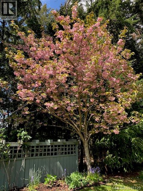 178 Elizabeth Dr, Salt Spring