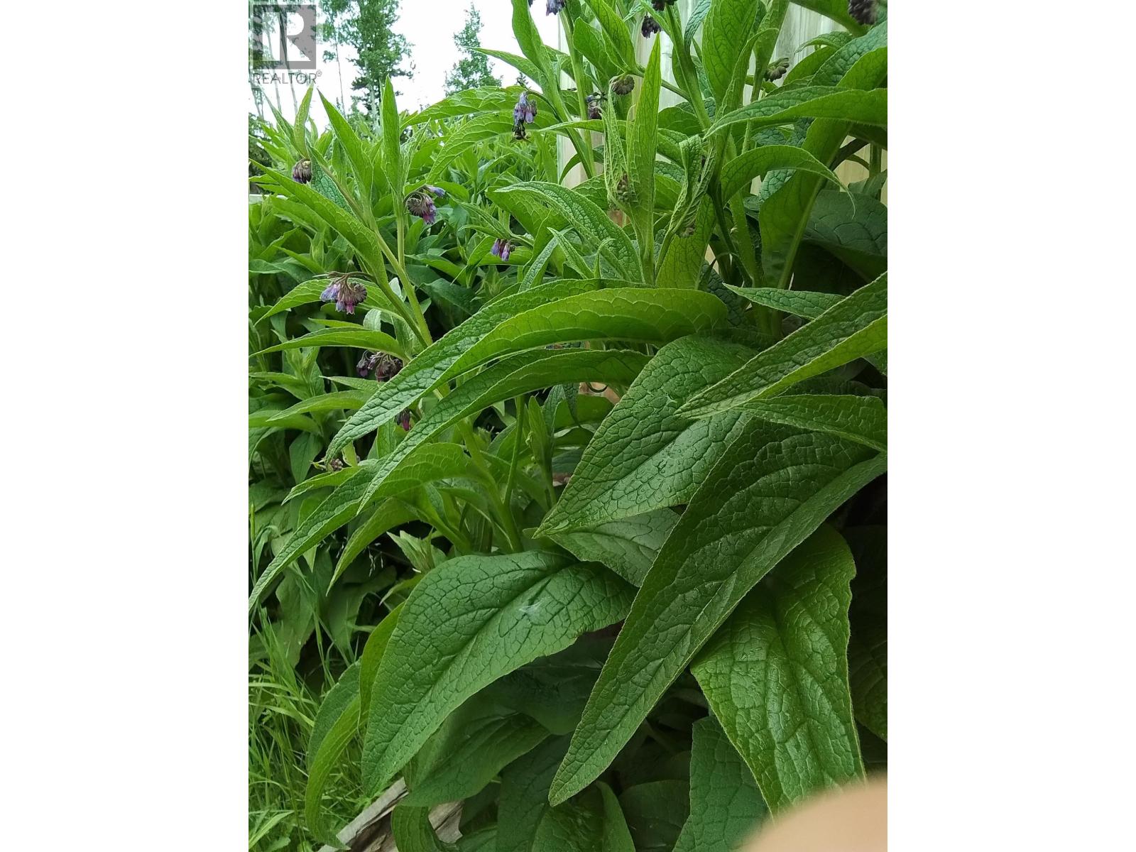 6646 HAMRE Road, Burns Lake