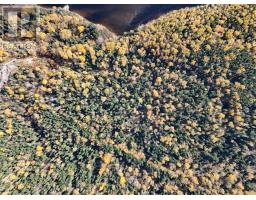Unit Lot # 341 - 25 Riverside Drive thumbnail 15