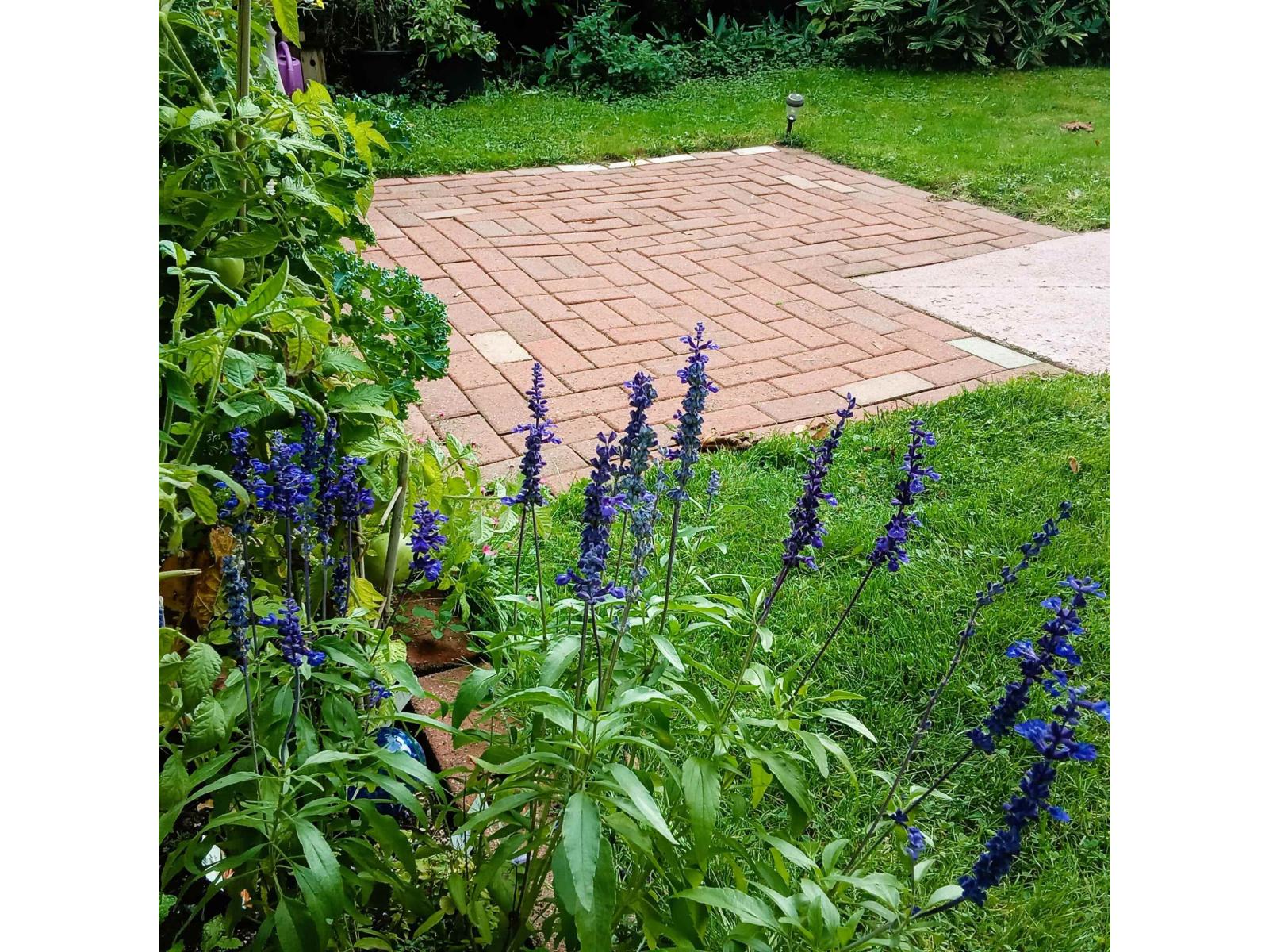 8187 COLEMAN STREET, Mission