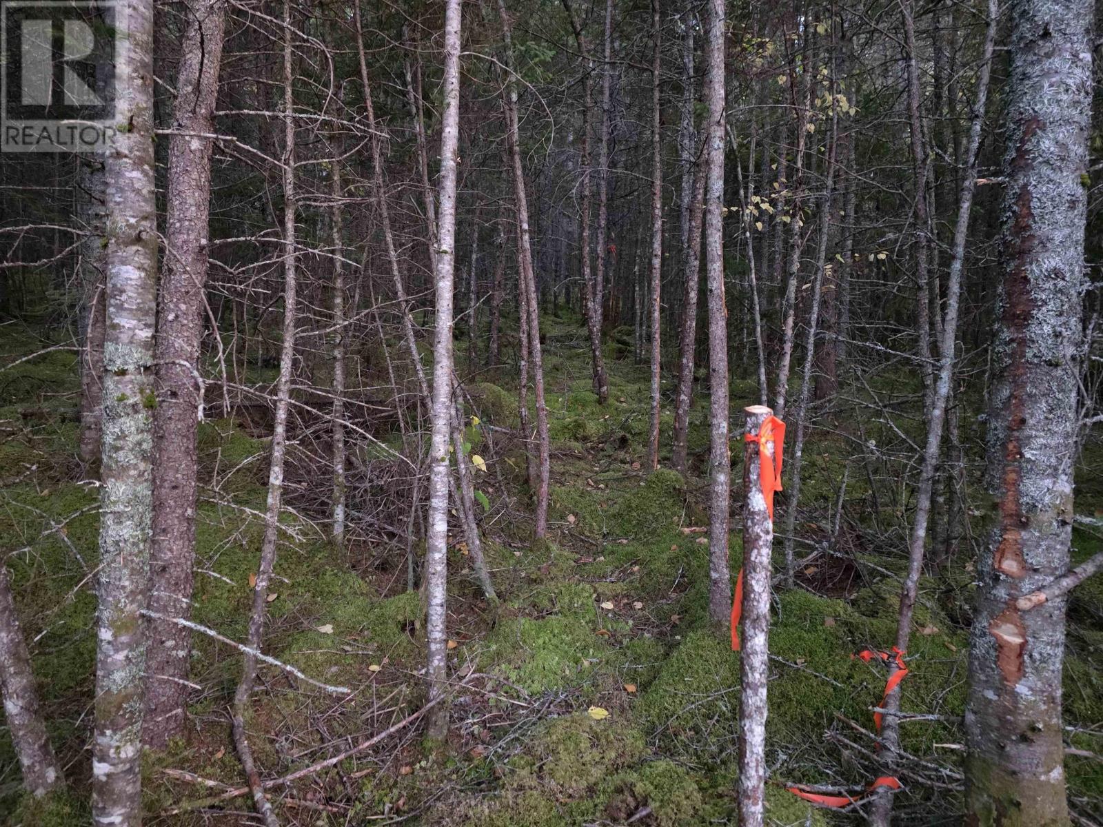 Property 5 of 12 of Land 104 Highway