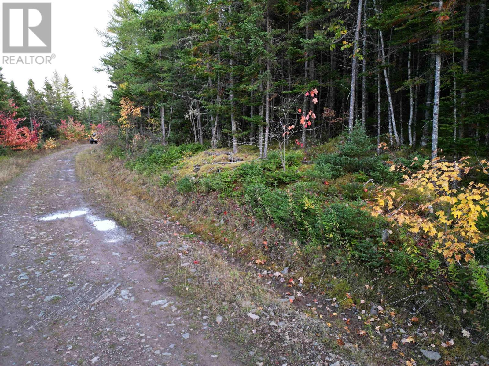 Property 11 of 12 of Land 104 Highway