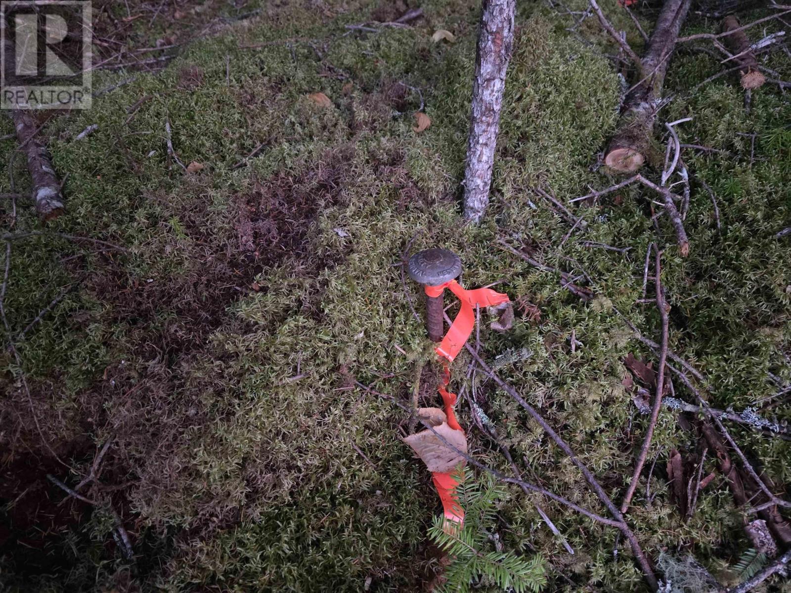 Property 6 of 12 of Land 104 Highway