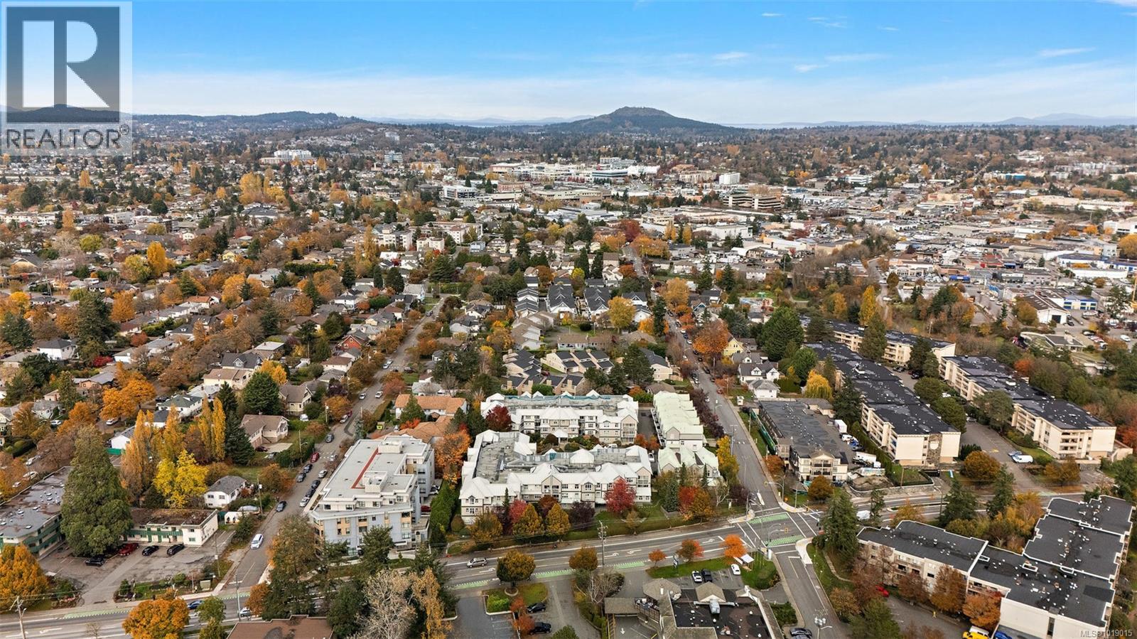 311 3010 Washington Avenue, Victoria