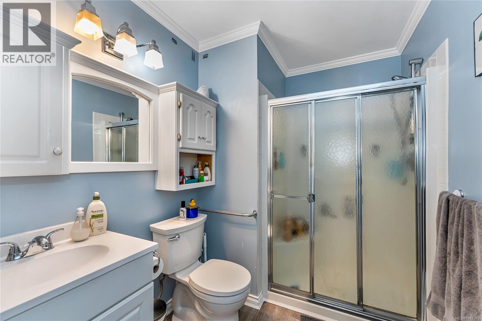  3165 Wascana Street, Saanich