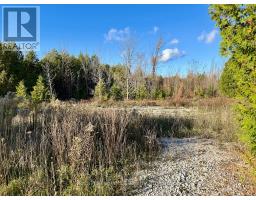 4887 Hwy 6 Highway, Northern Bruce Peninsula, ON N0H1Z0 Photo 10