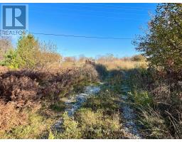 4887 Hwy 6 Highway, Northern Bruce Peninsula, ON N0H1Z0 Photo 12
