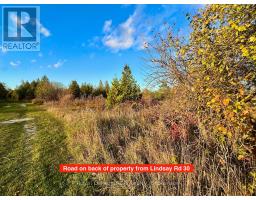 4887 Hwy 6 Highway, Northern Bruce Peninsula, ON N0H1Z0 Photo 21