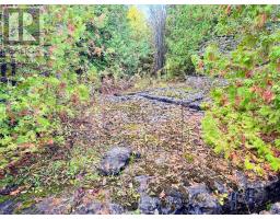 4887 Hwy 6 Highway, Northern Bruce Peninsula, ON N0H1Z0 Photo 14