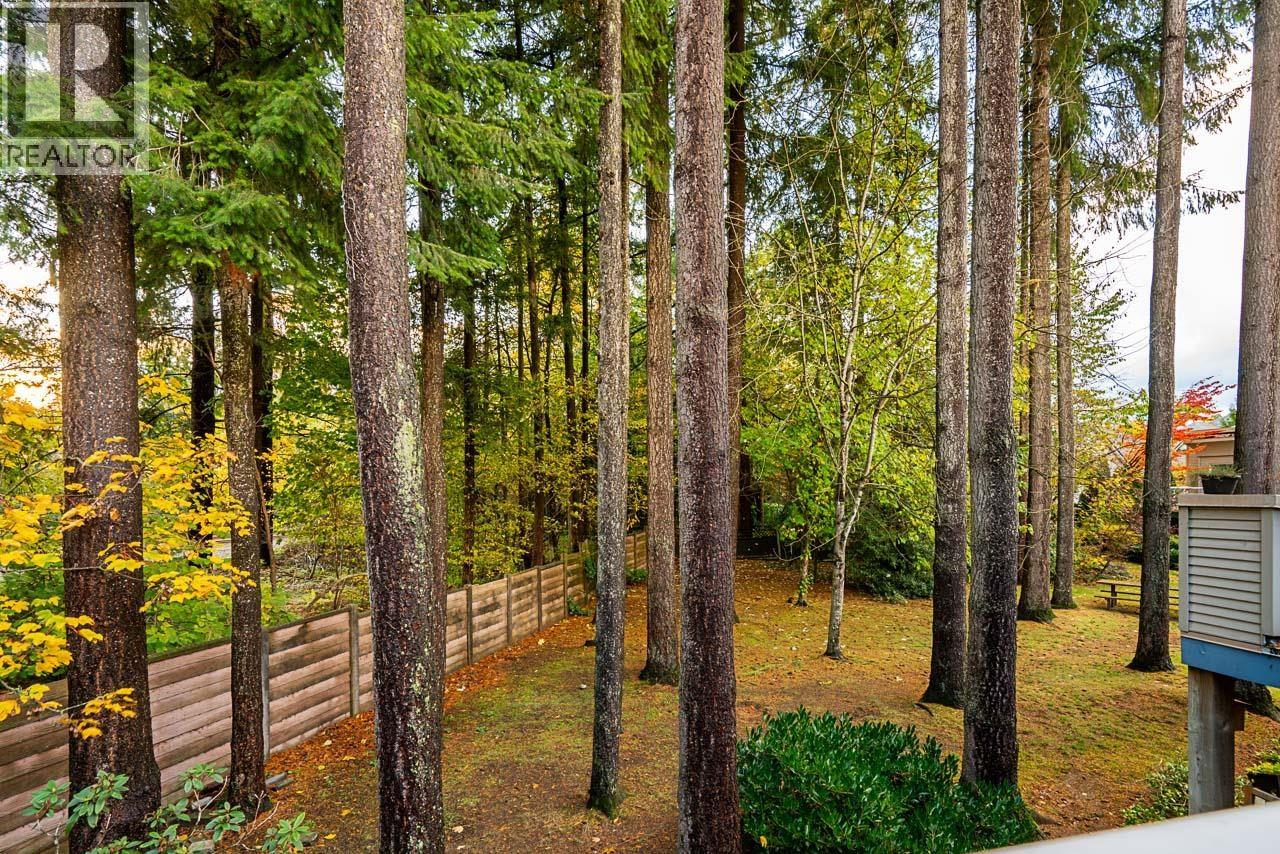 19 12449 191 STREET, Pitt Meadows