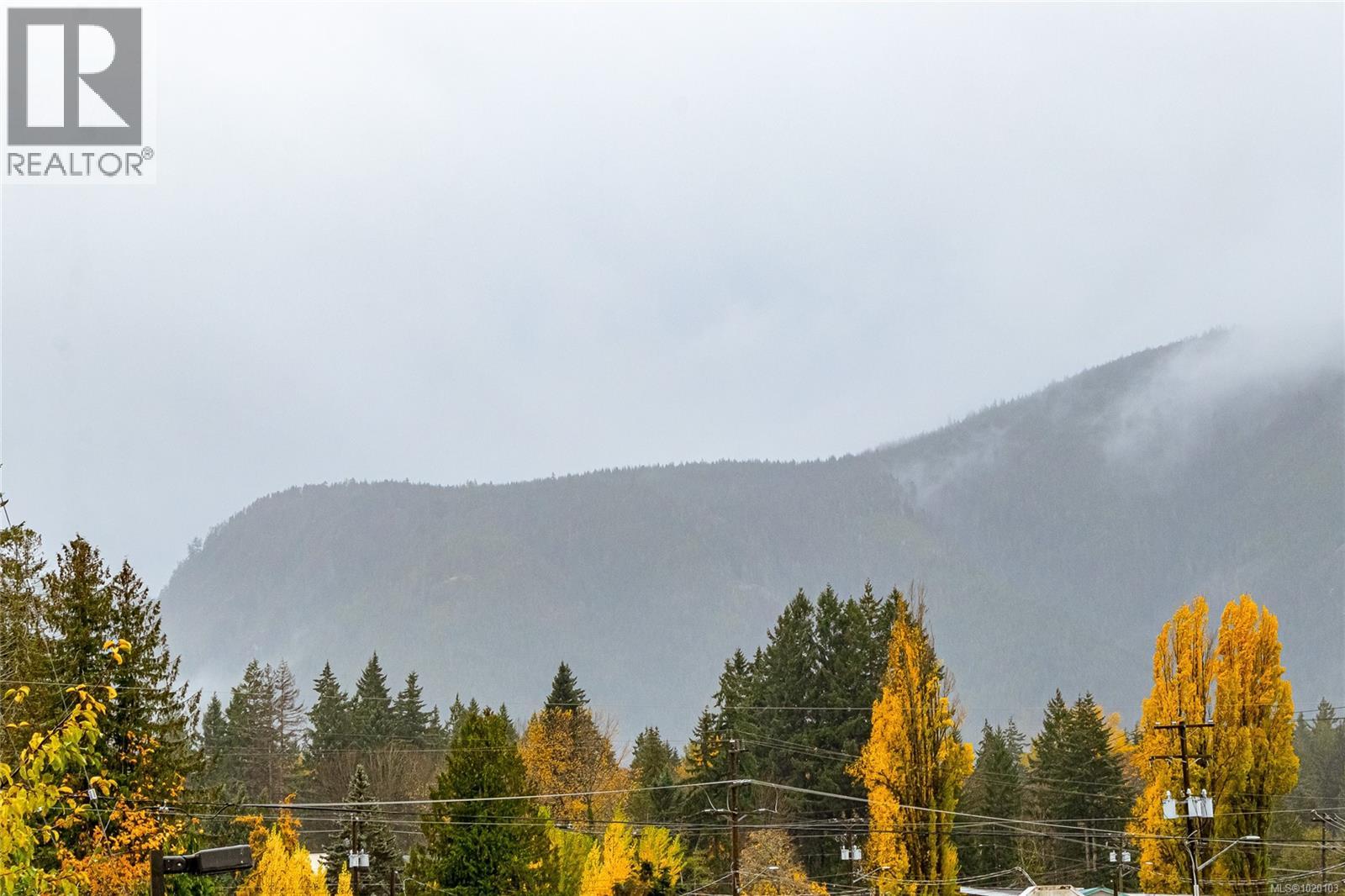 84 Lakeview Ave, Lake Cowichan