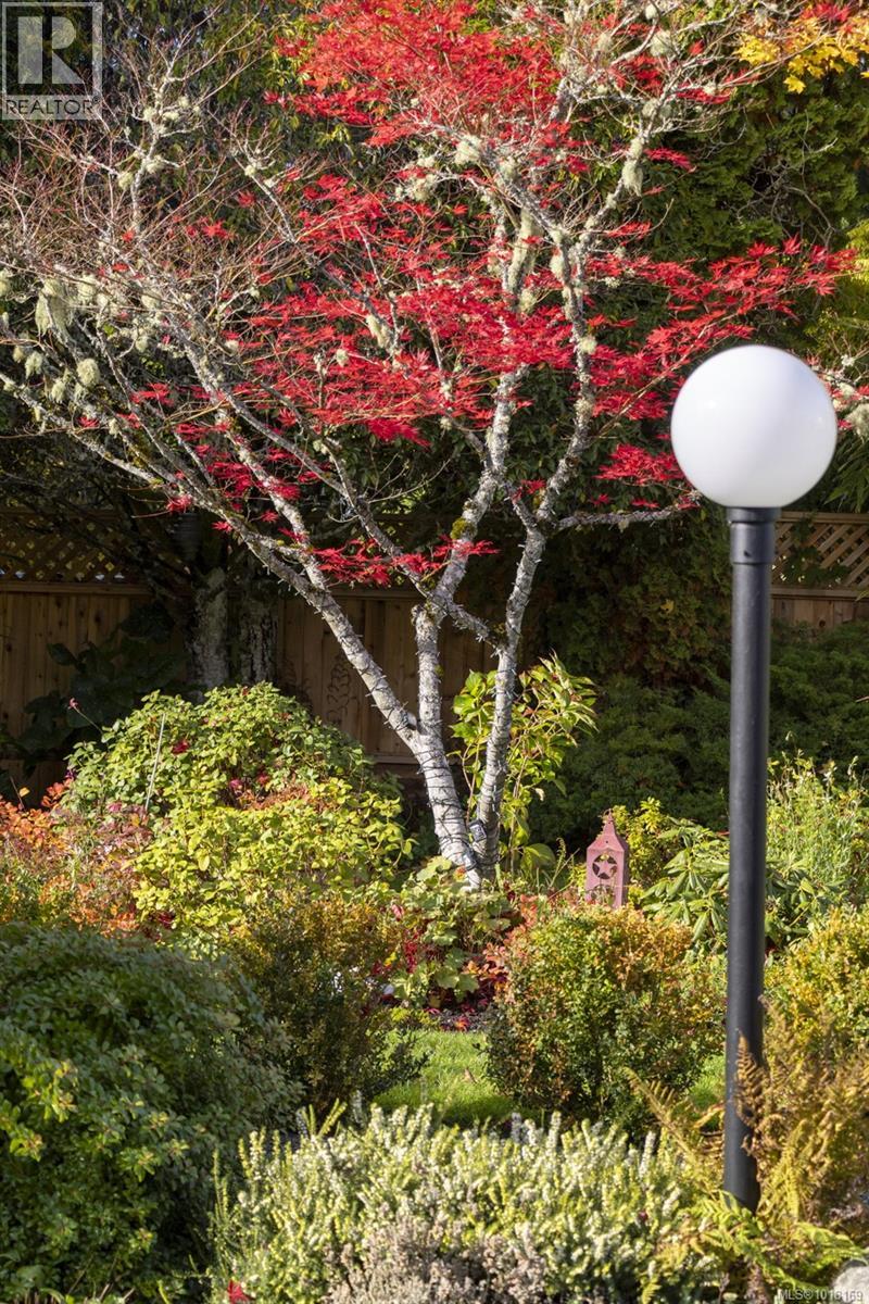 41 Tovey Cres, View Royal