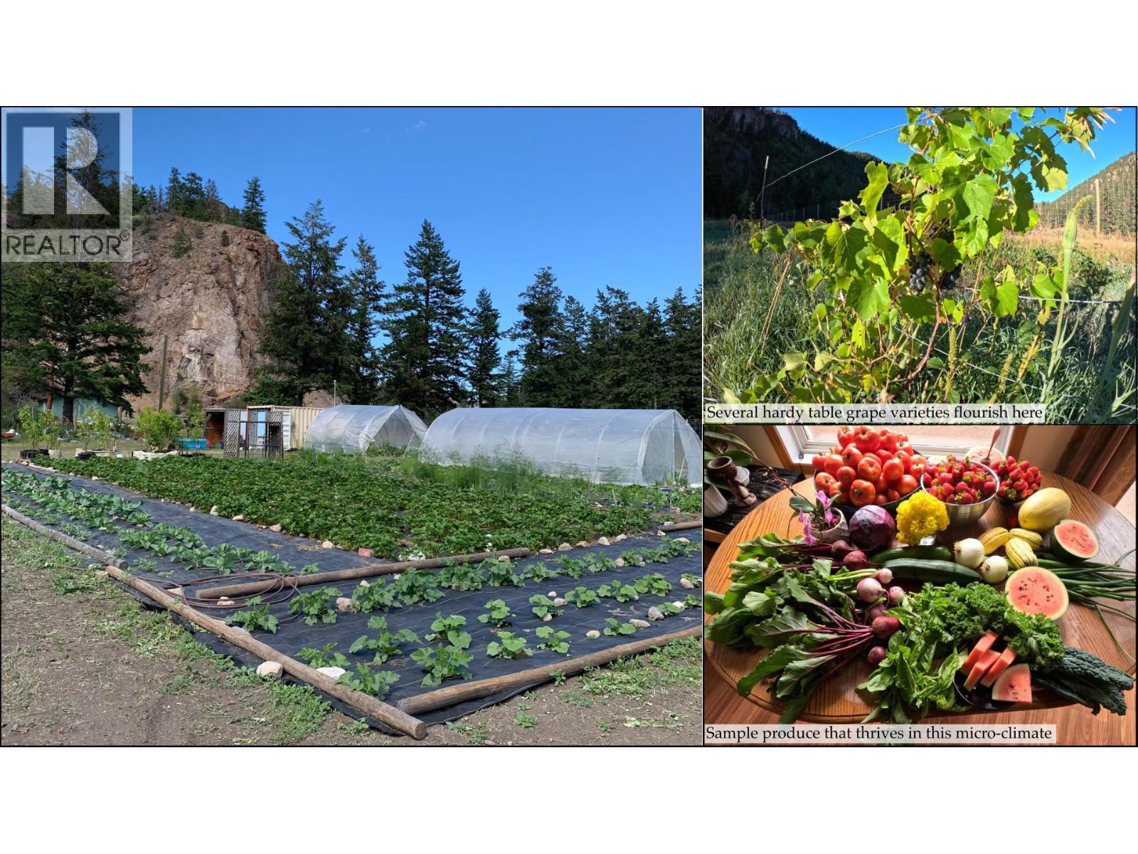 1618 White Lake Road, Kaleden