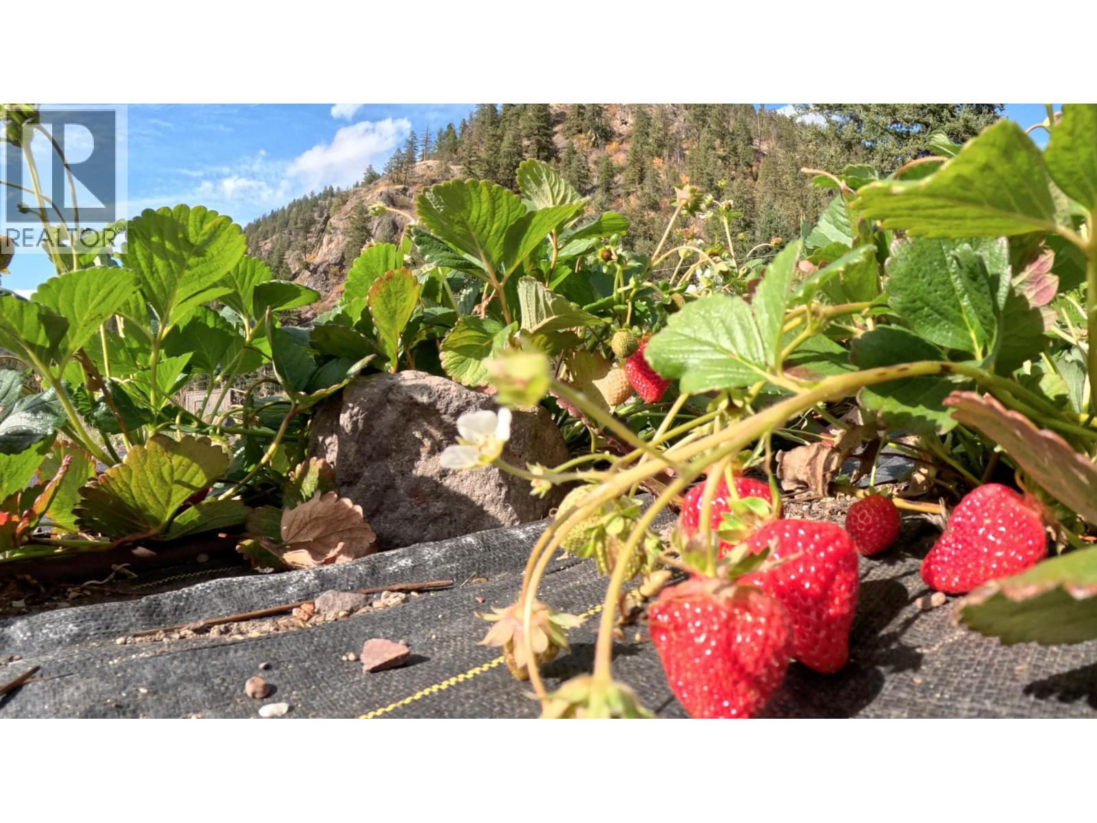 1618 White Lake Road, Kaleden