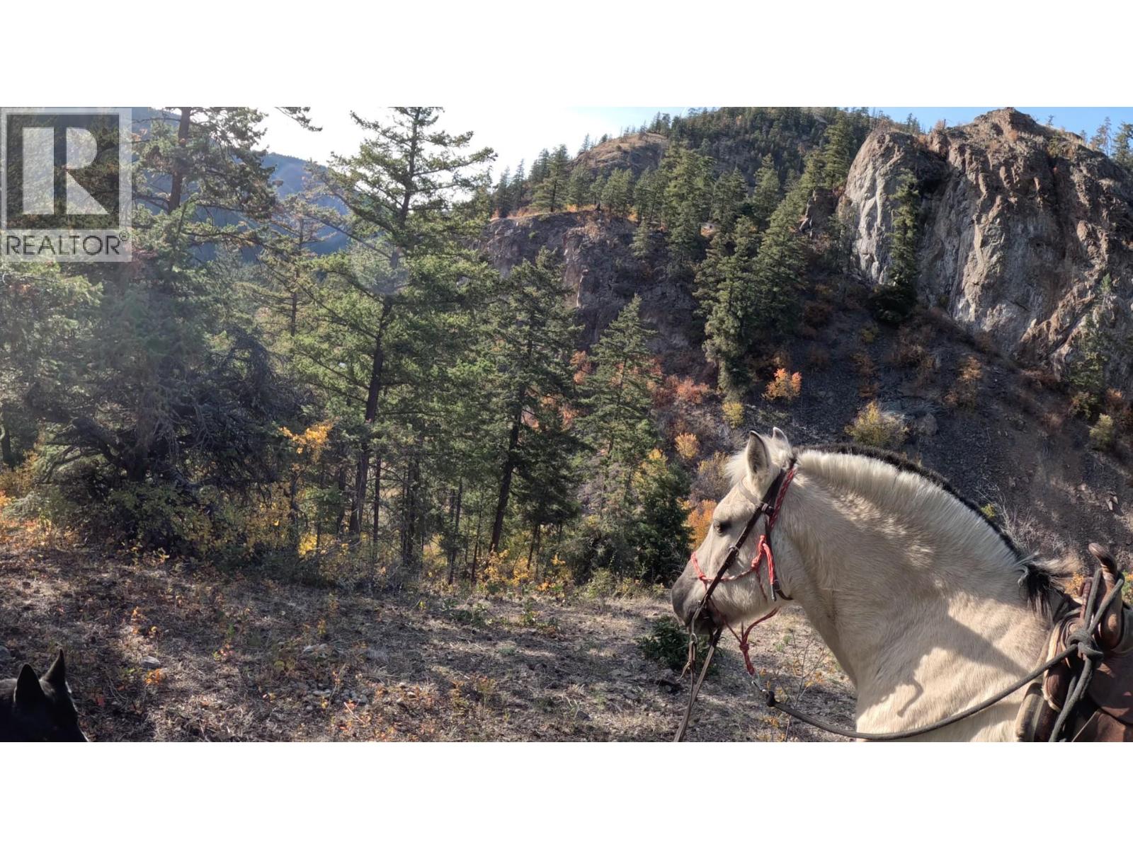 1618 White Lake Road, Kaleden