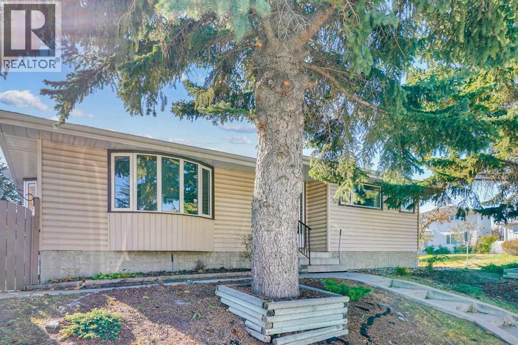 272 Sackville Drive SW, Calgary, Alberta