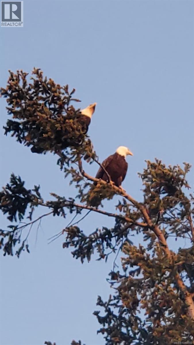 502 940 Boulderwood Rise, Saanich