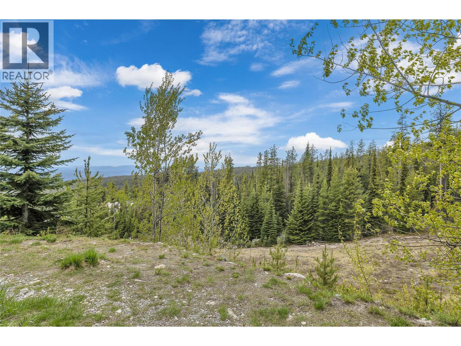 104 225 Kettle View Road, Big White