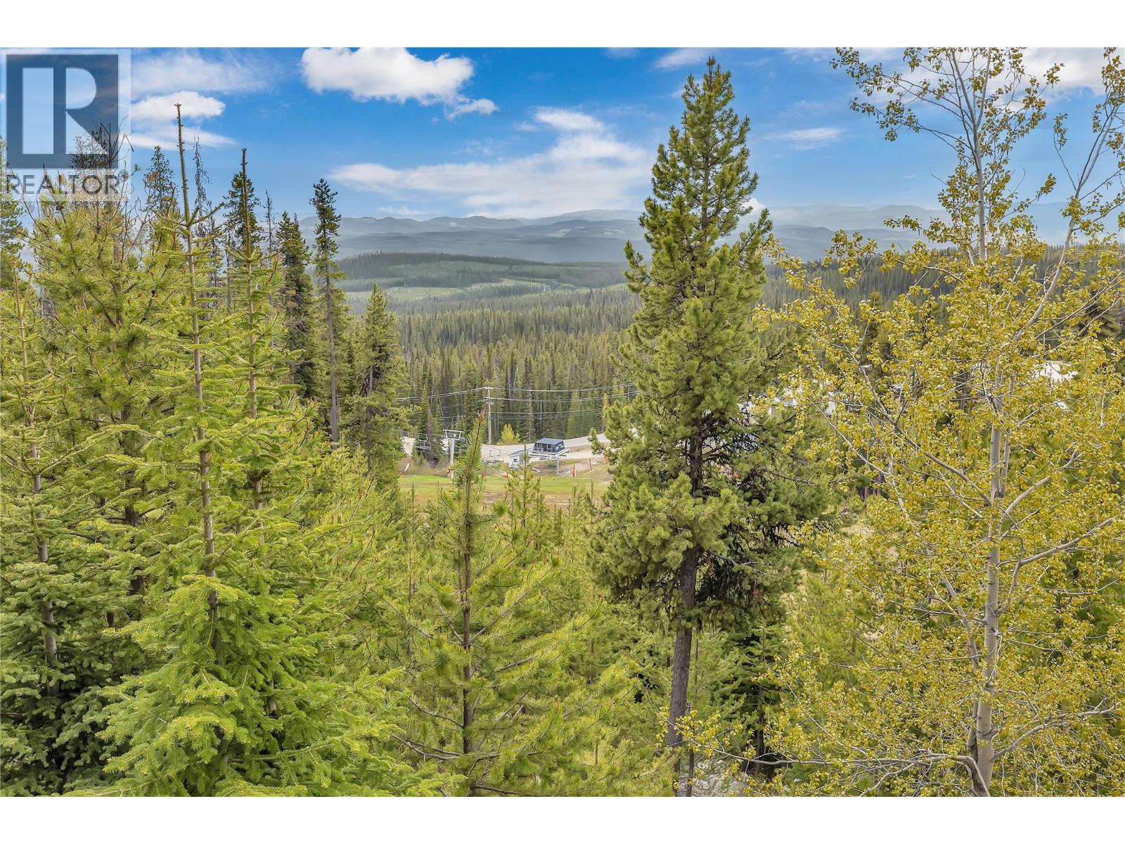 104 225 Kettle View Road, Big White