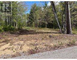 Lot 15 Sandy Shores Trail, Madawaska Valley, ON K0J1B0 Photo 8