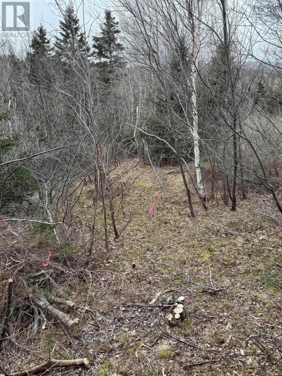 Property 4 of 5 of 0 16 Highway