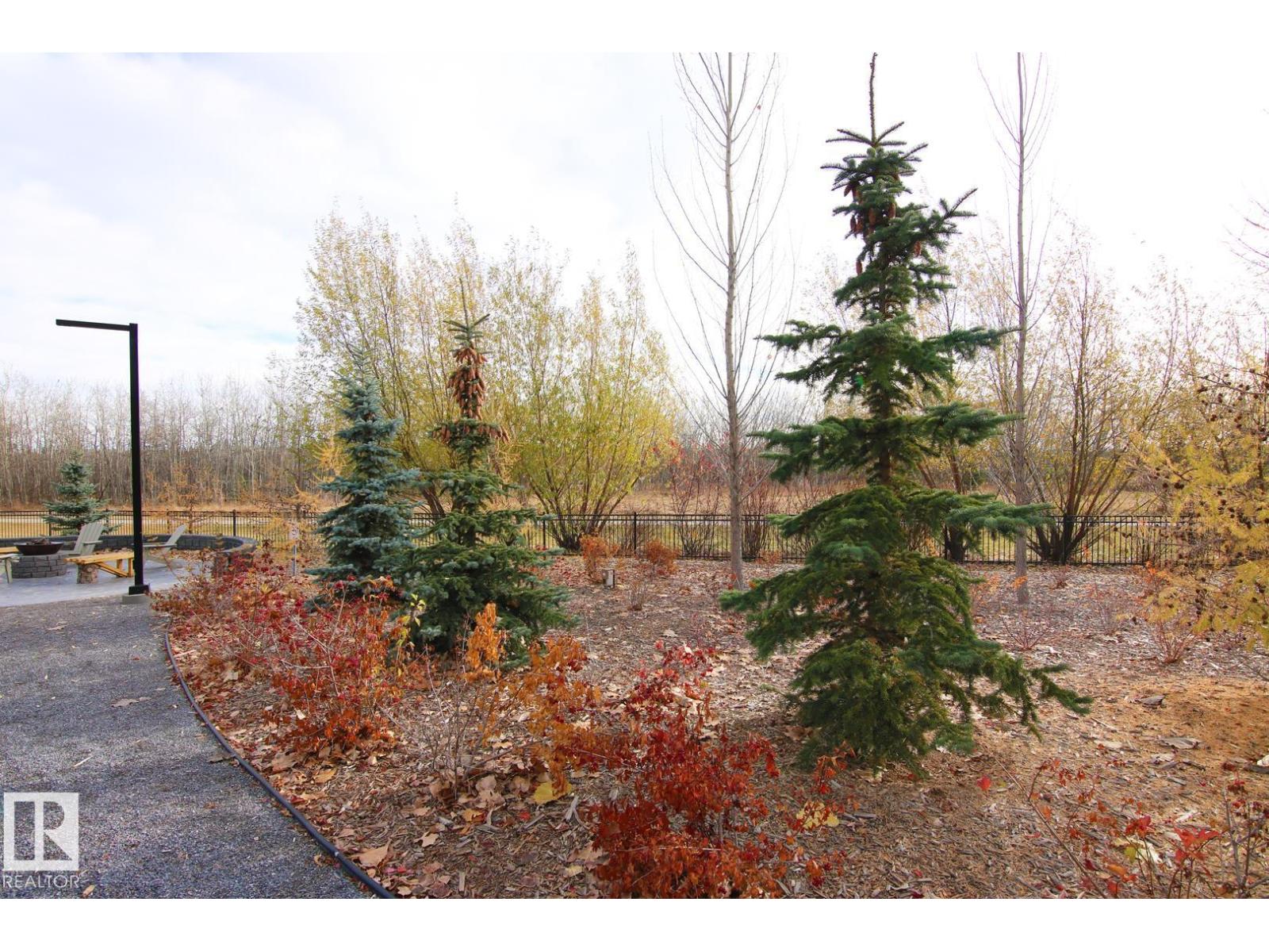 #311 7463 MAY CM NW, Edmonton