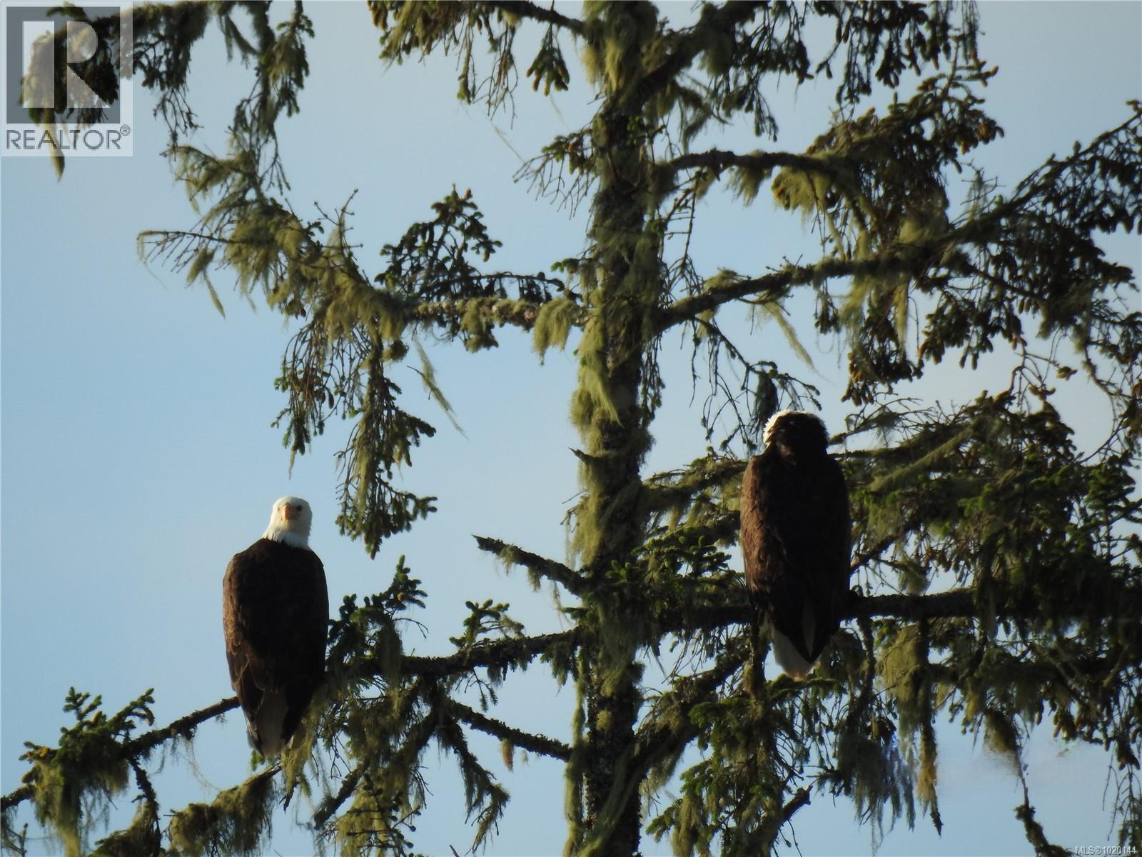 1049 Sixth Ave, Ucluelet