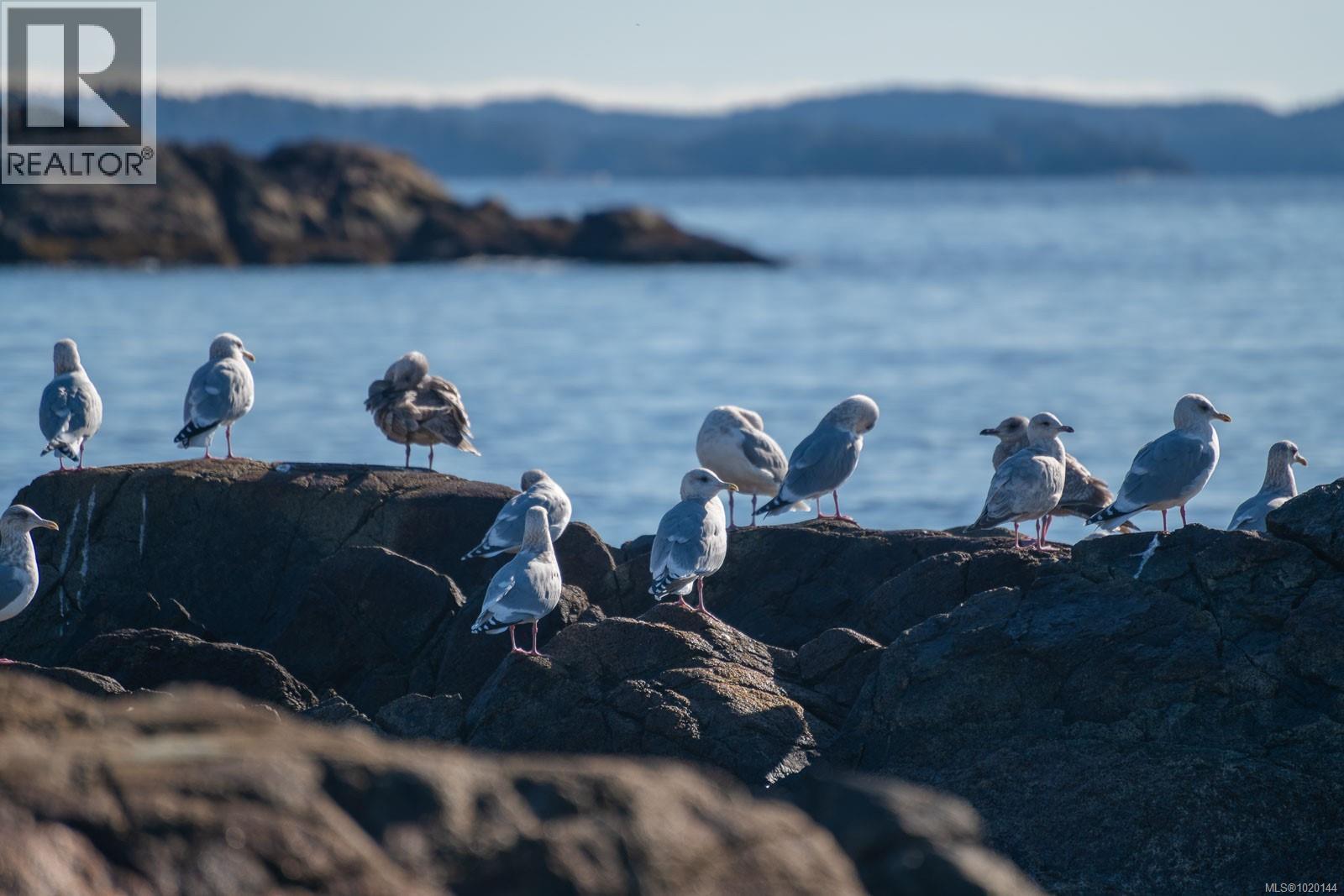 1049 Sixth Ave, Ucluelet
