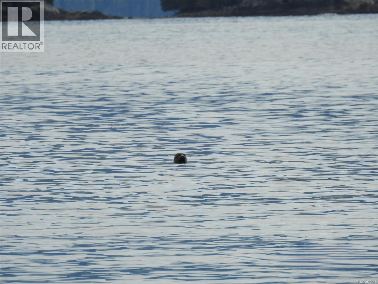 1049 Sixth Ave, Ucluelet