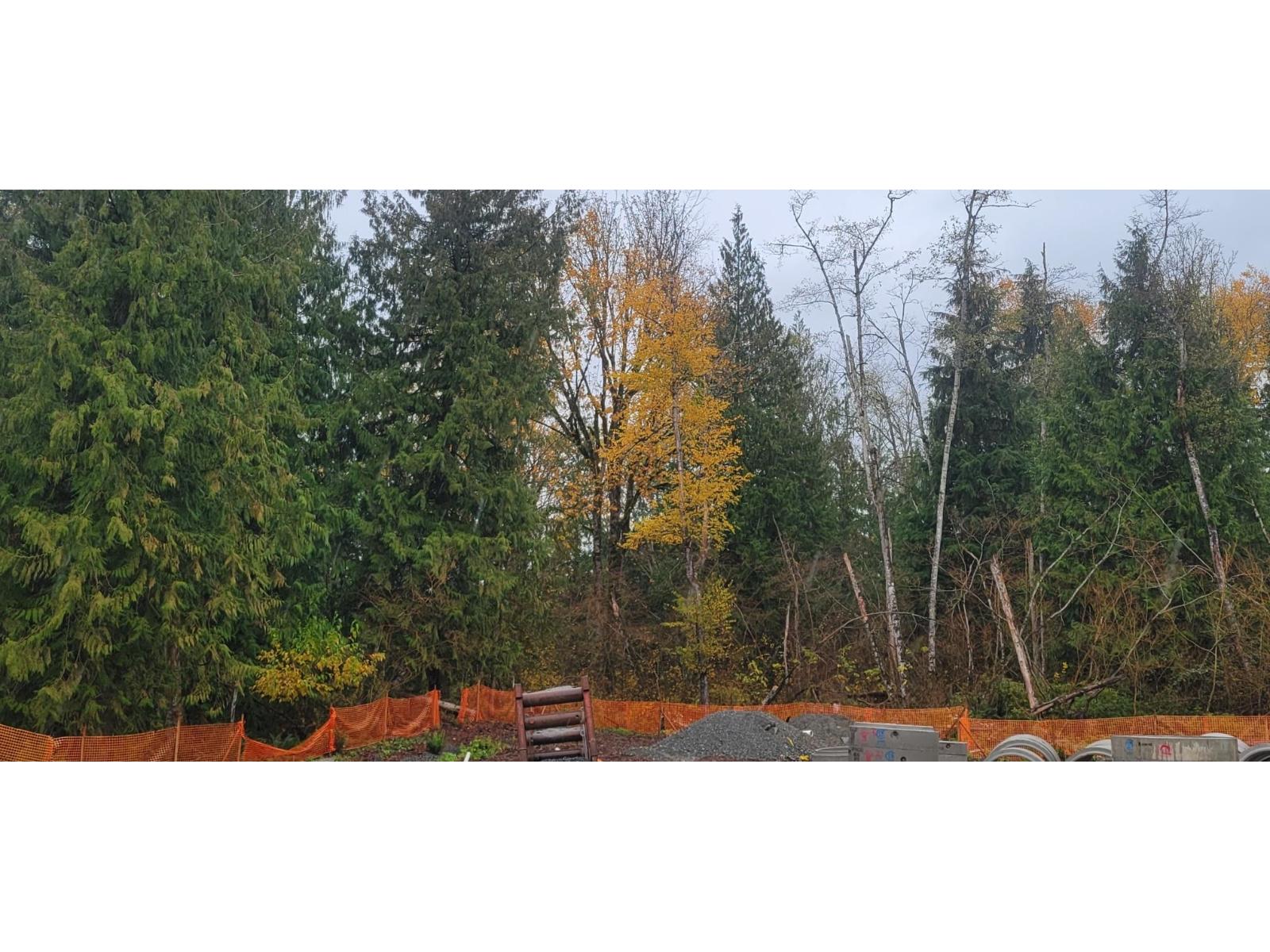 LT. 583 STEPHEN LEACOCK Drive - photo 2