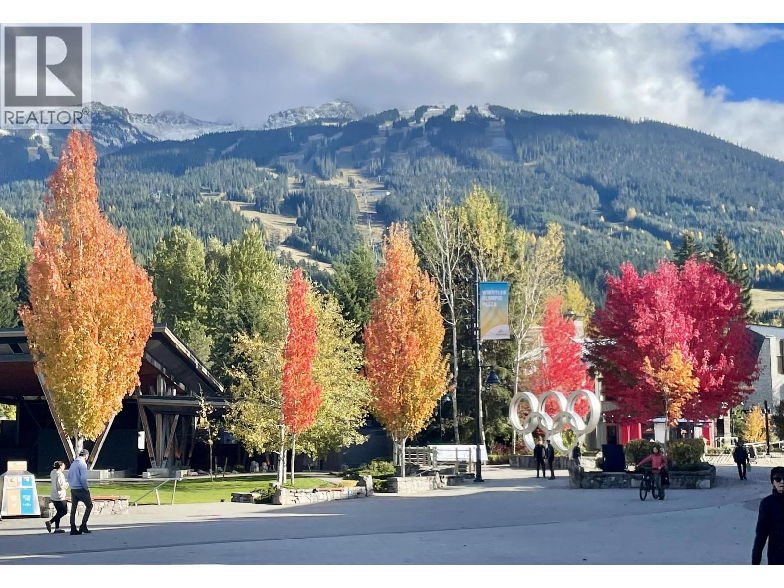 302 WK6-4338 MAIN STREET, Whistler