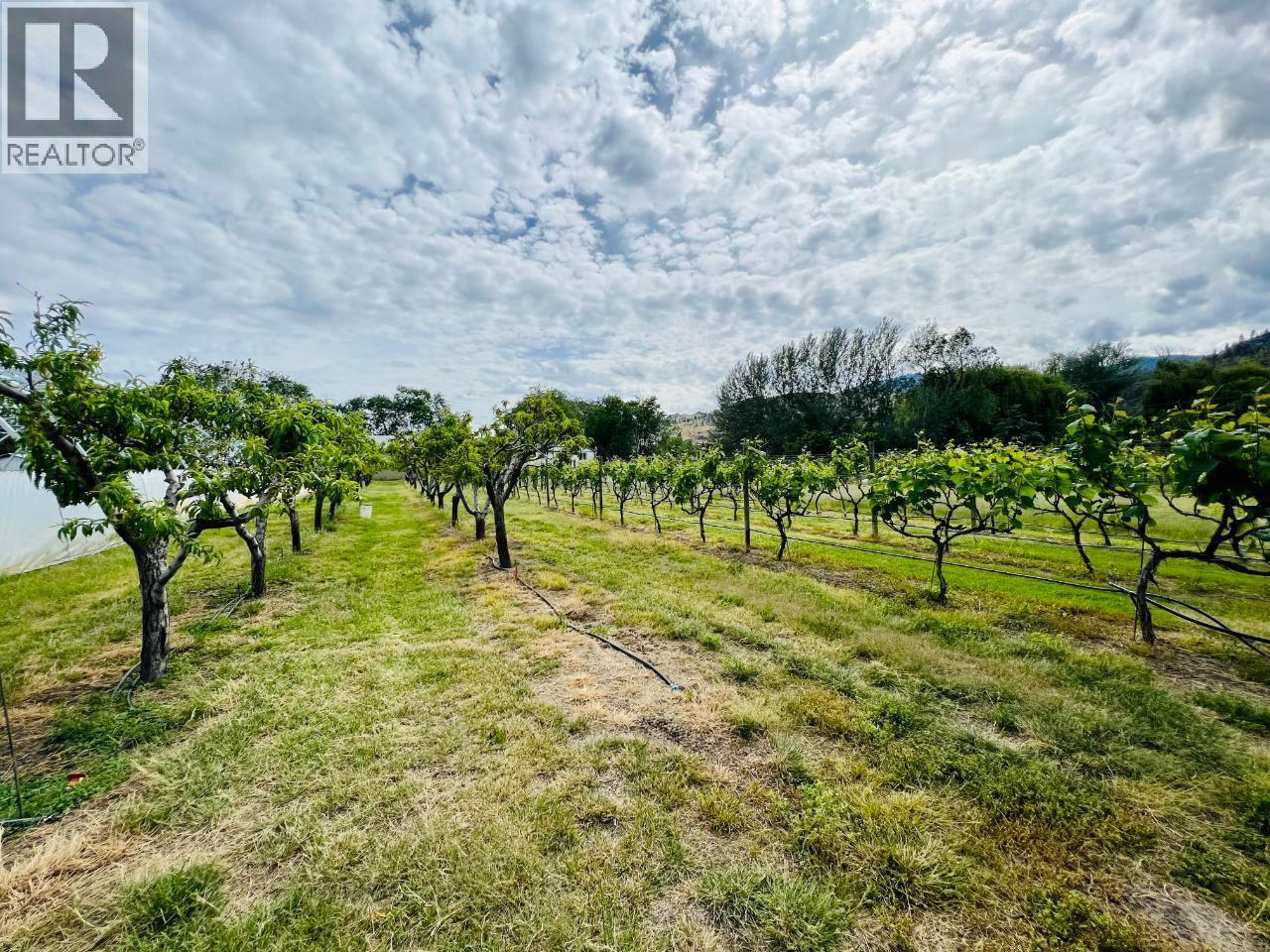 7231 ISLAND Road, Oliver