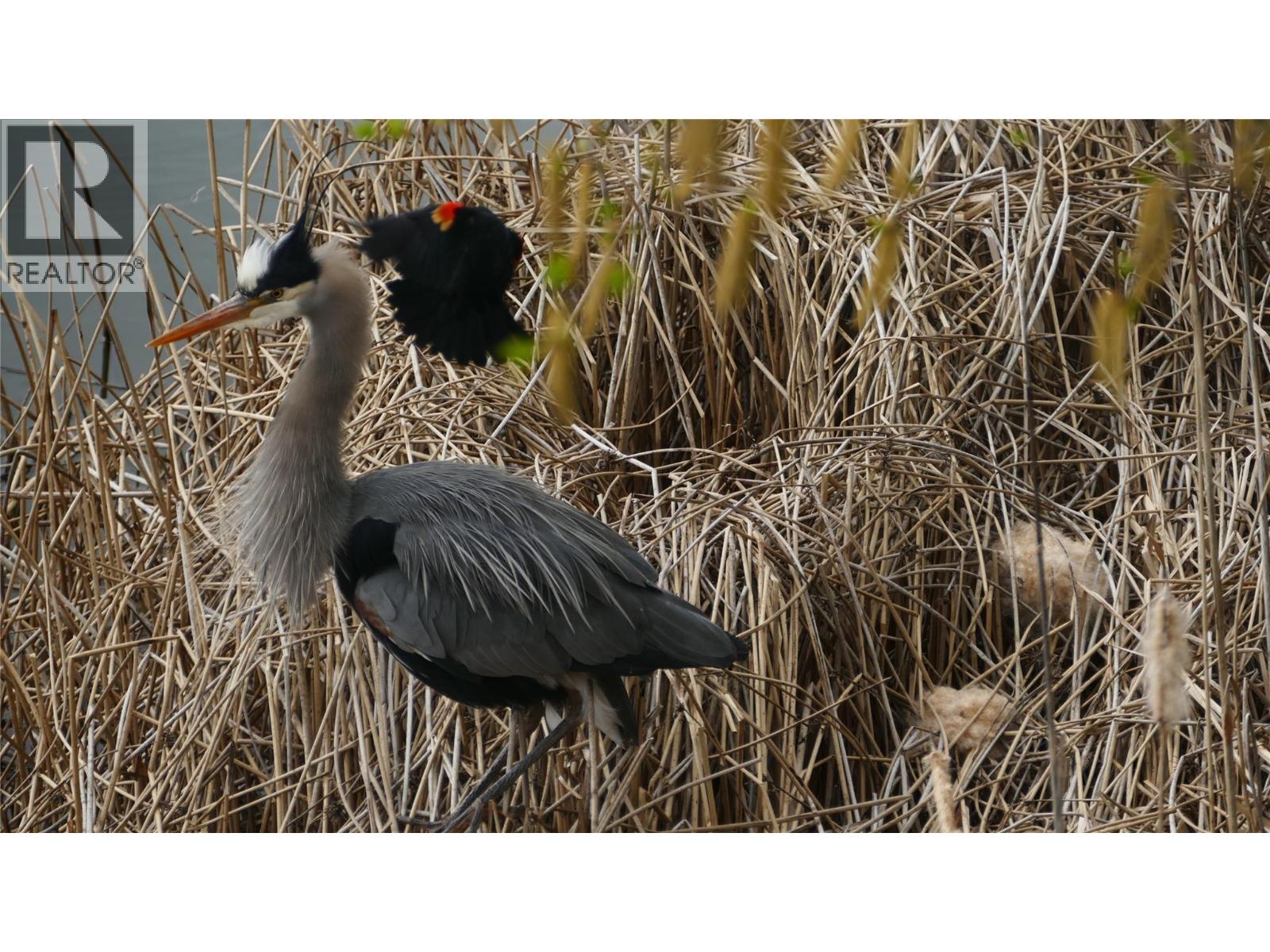 79 9845 Eastside Road, Vernon