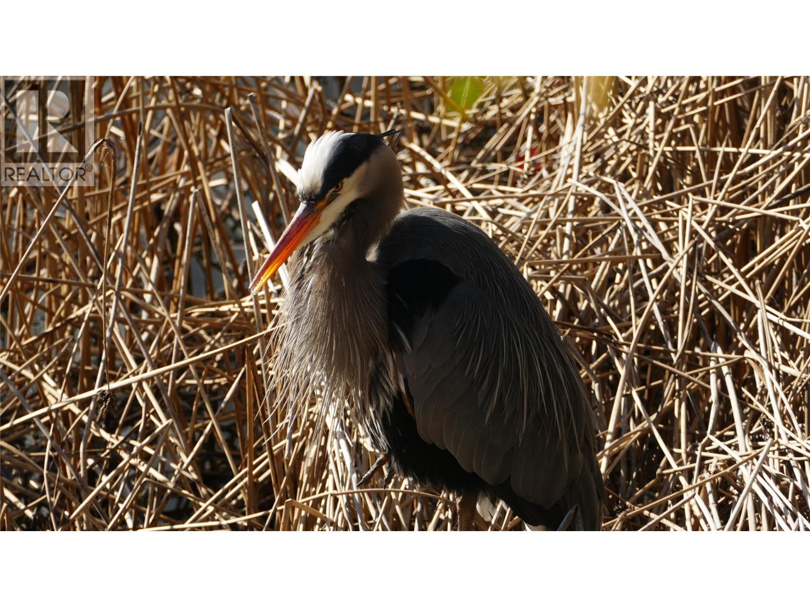 79 9845 Eastside Road, Vernon