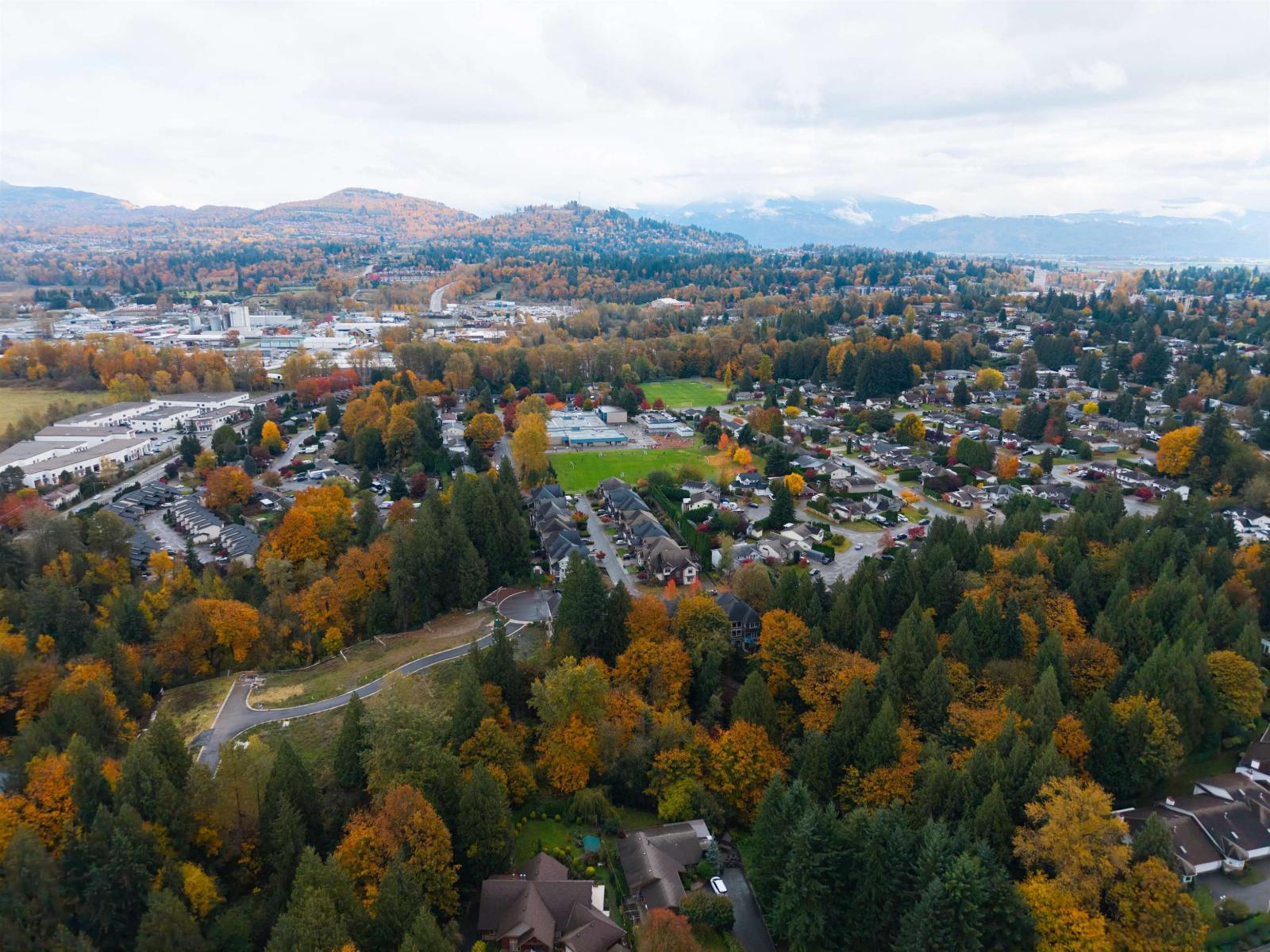 39 3115 TRAFALGAR STREET, Abbotsford