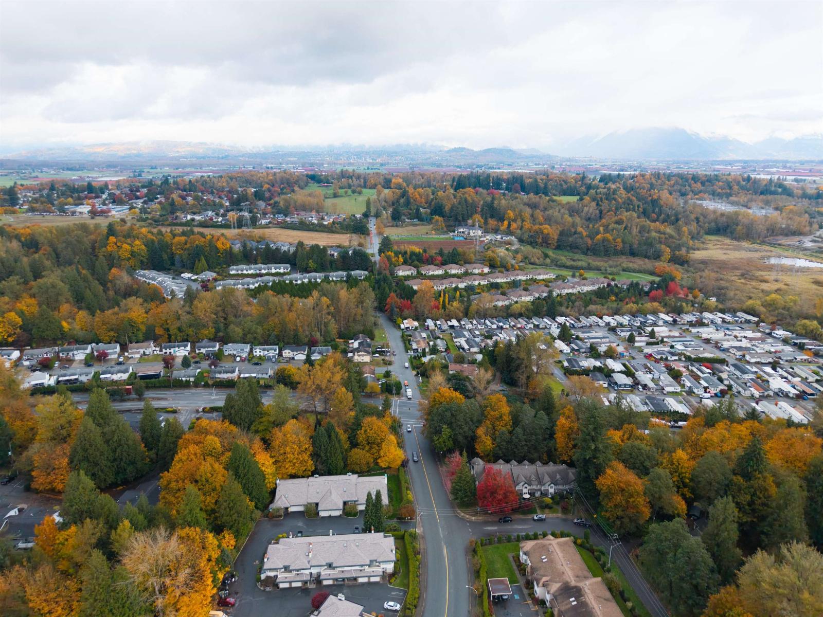 39 3115 TRAFALGAR STREET, Abbotsford