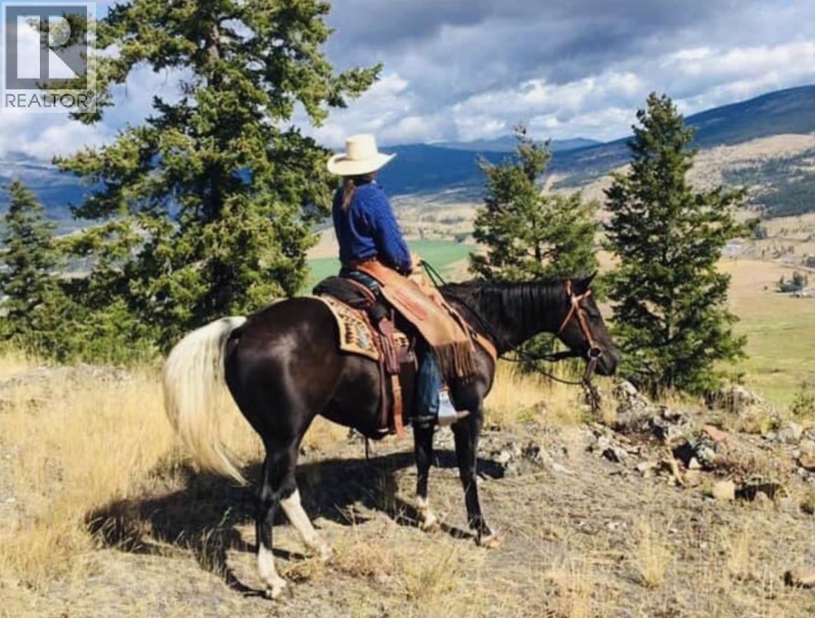  281 Lindley Creek Road, Merritt