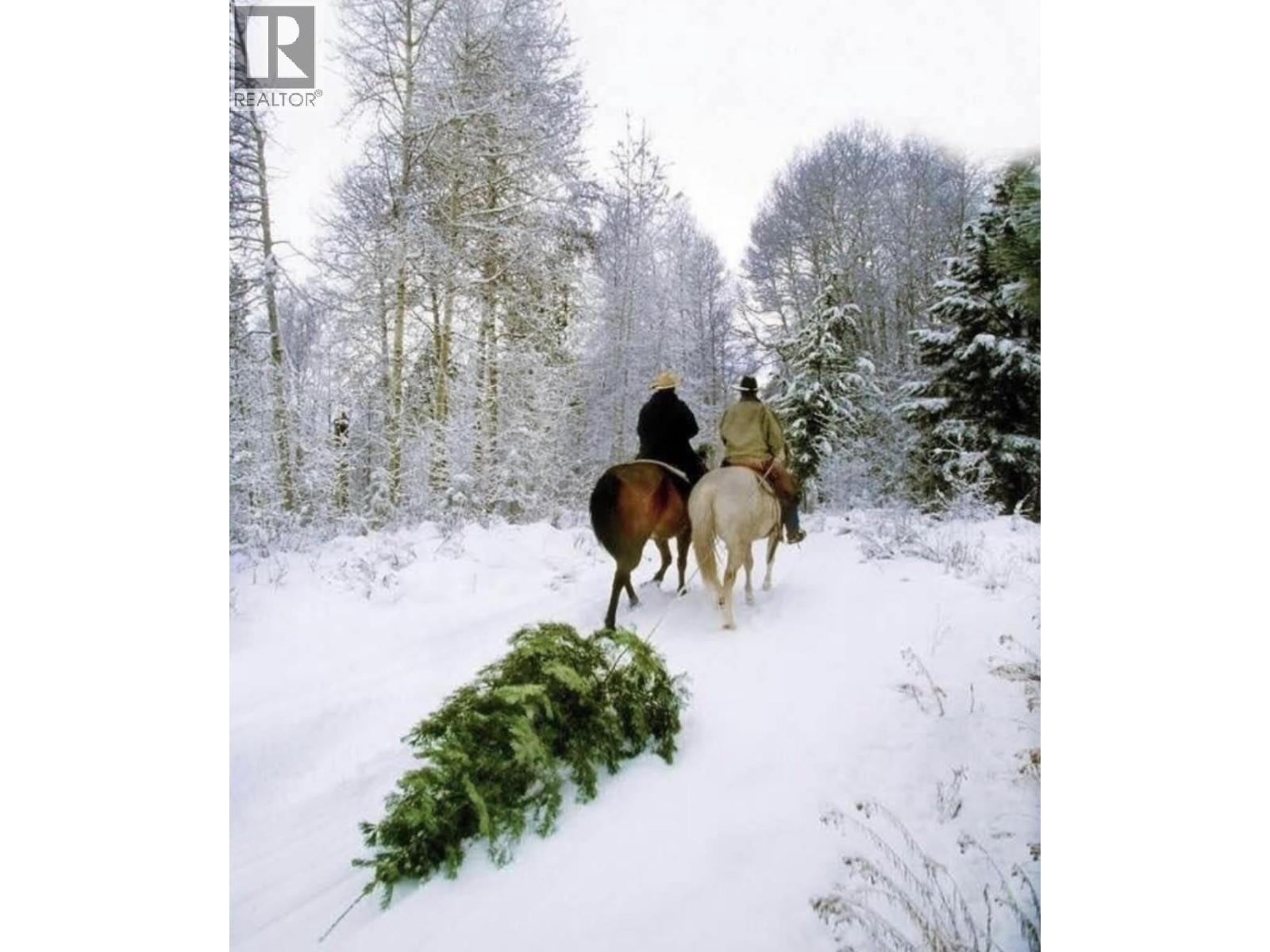  281 Lindley Creek Road, Merritt