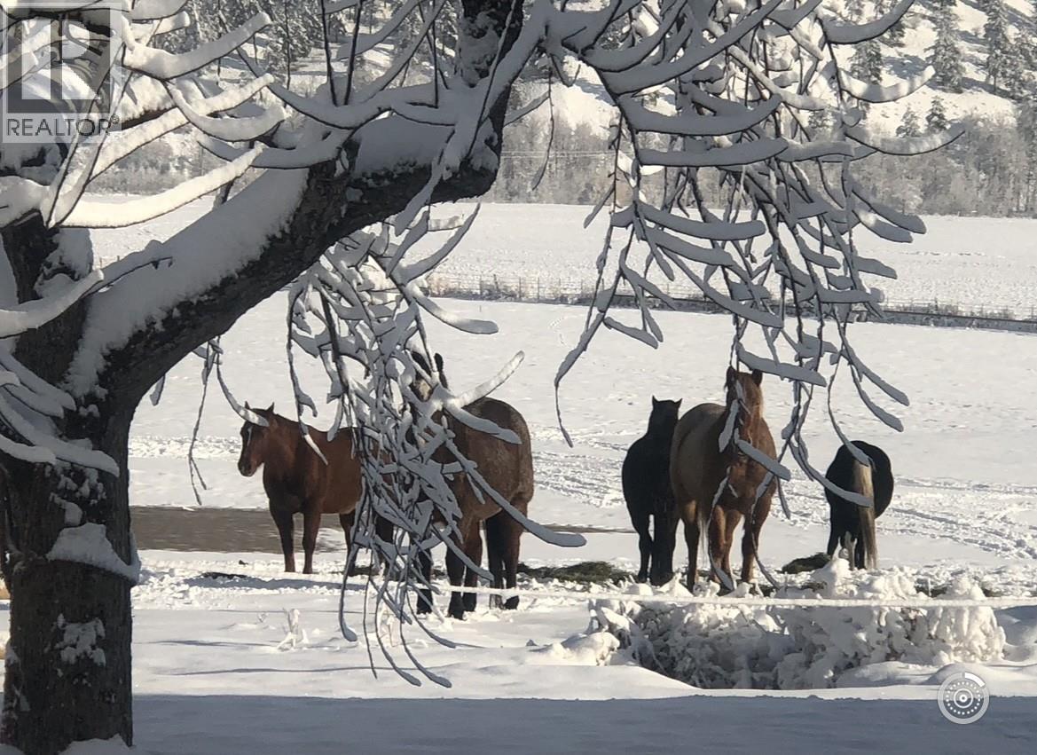  281 Lindley Creek Road, Merritt