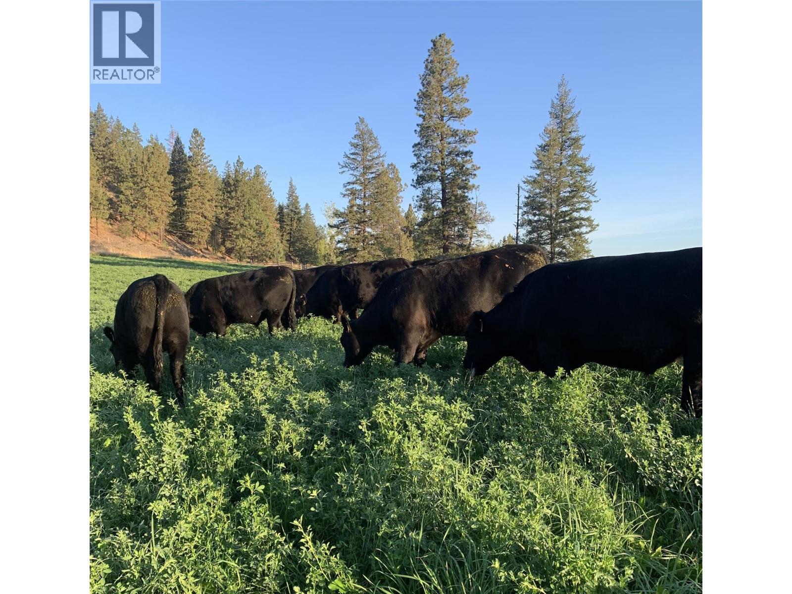  281 Lindley Creek Road, Merritt